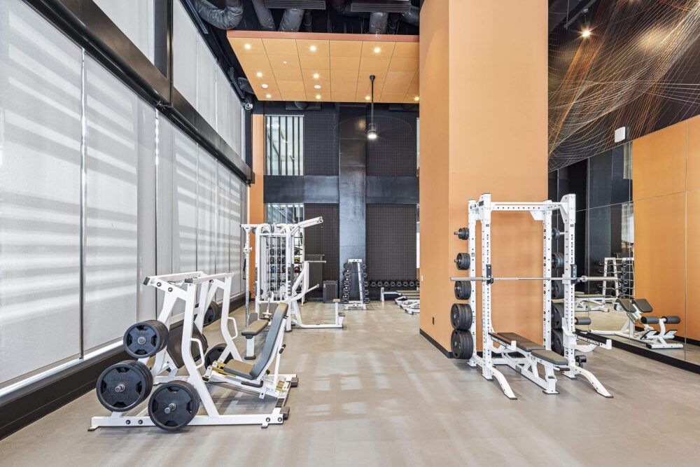 Kinetic gym equipment of squat rack and bench press.